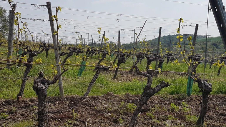  — © Foto: Funkhaus Würzburg
