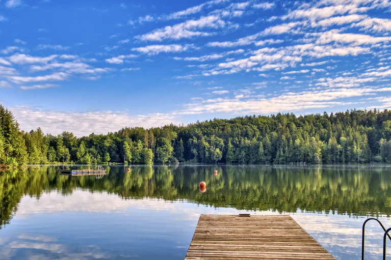  — © FOTO: PIXABAY