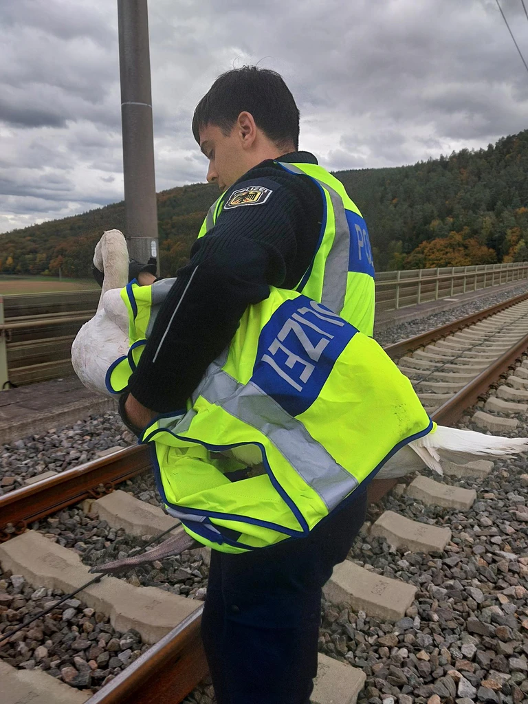  — © Foto: BUNDESPOLIZEIINSPEKTION  WÜRZBURG
